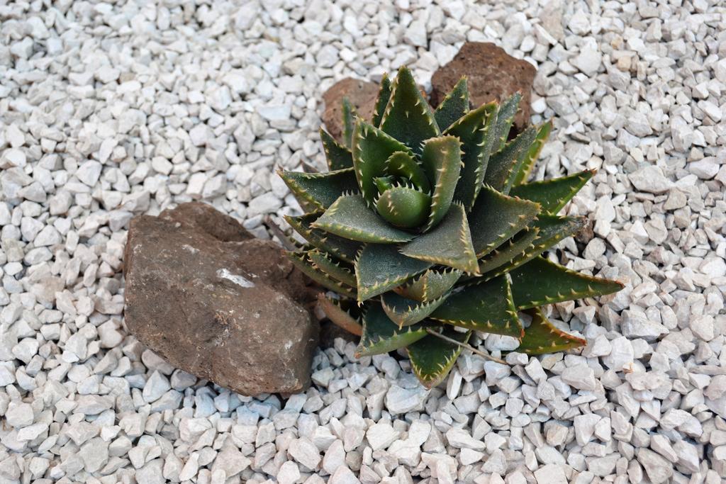 Casa Vacanze Mura Cala Gonone Exteriér fotografie